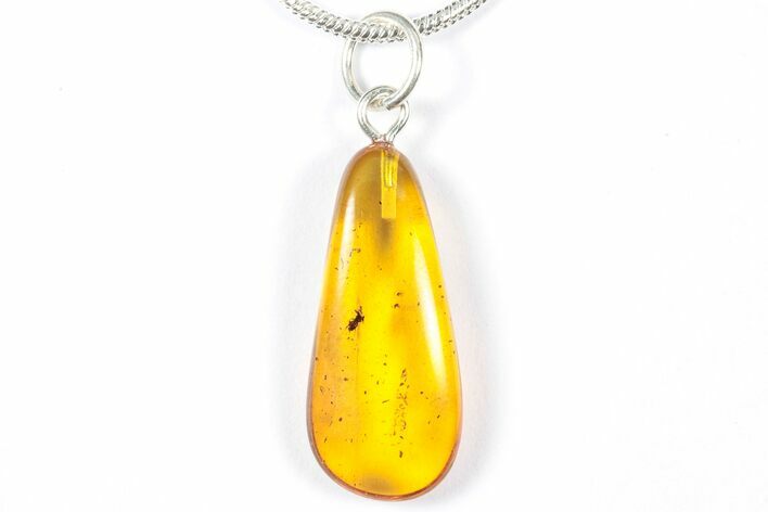 Polished Baltic Amber Pendant (Necklace) - Contains Wasp! #357987